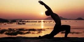 One Hour Wellness Coaching Session