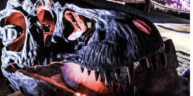 Adult General Admission (Ages 13+)