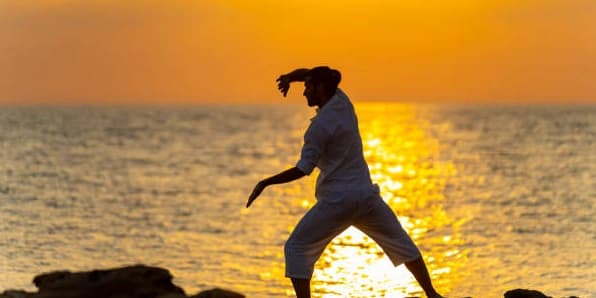 1 Month Unlimited Martial Arts / Ancient Science / Tai Chi Training