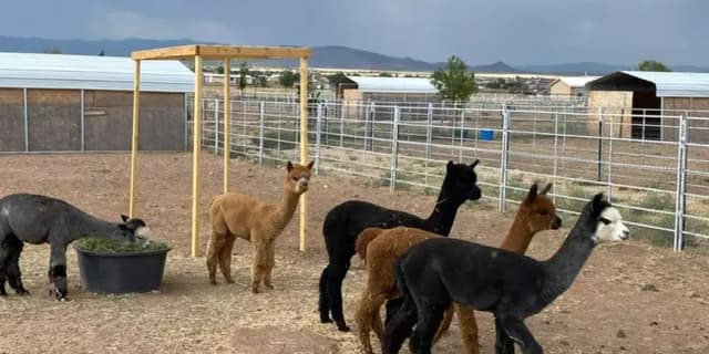 Eight Guest Admissions