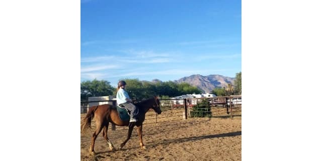 One Introductory Horseback Riding Lesson for One Person
