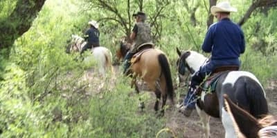 2-Hour Horseback Riding Mountain Trail Ride for Four