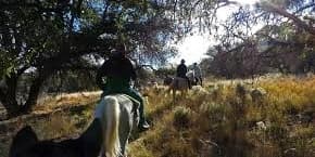 One-hour Trail Ride for One
