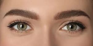 One 3D Microblading Session for Both Eyebrows with a Six Month Touch-Up