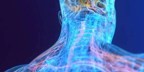 3 Laser Neuropathy Treatments with Whole Body Vibration and B12 Supplements