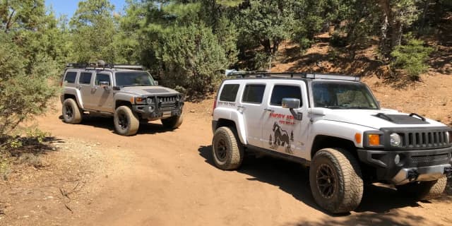90-Minute Off-Road Adventure for Four