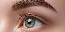 One Brow Lamination with Optional Tint