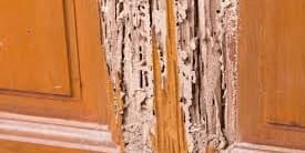 Spot Treatment for Subterranean Termites