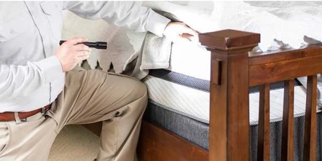 $289 Worth of Pest Control Services for Bed Bugs
