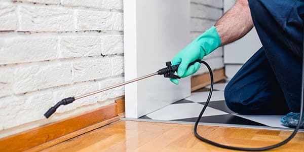 Termite Treatment for Subterranean Termites w/ 10 Year Warranty