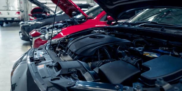 Tune-Up & 8-Cylinder Spark Plug Replacement with Oil and Filter Change