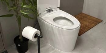 Toilet Installation Project