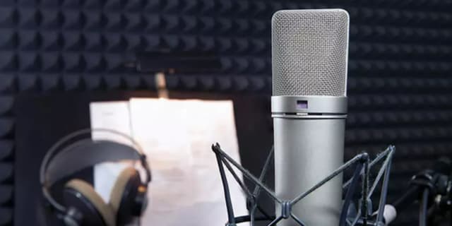 Introduction to Voice-Over Workshop; Virtual Only