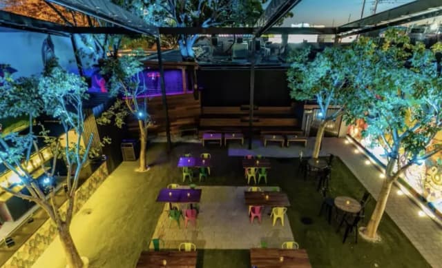 Ticket to Wynwood Bar Crawl Walking Tour