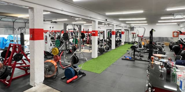 3 Months of Open Gym