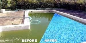 Green to Clean Complete Pool Service Package Deal