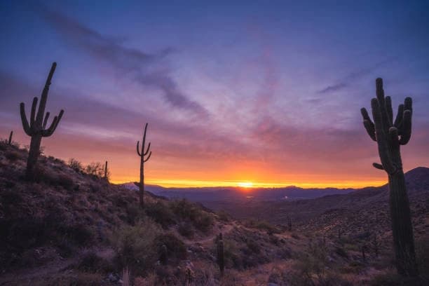 2-3 Hikers (Price Per Hiker, Must Book Two or Three Hikers)