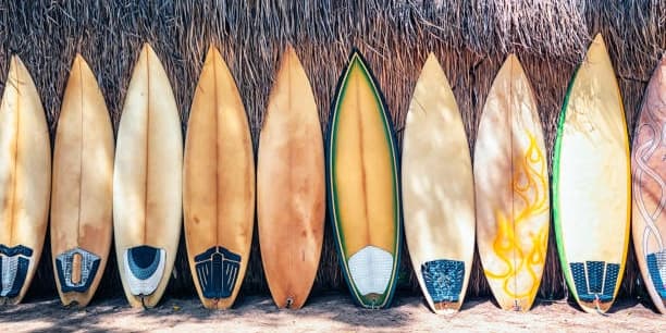 Full-Day Soft Top Board Rental