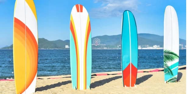 1 Hour Board Rental for Lesson