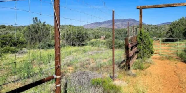 5 Person Private Tour