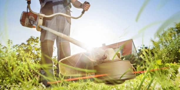 Lawn Care - Medium