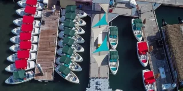 $5 off + Bluetooth speaker for 1 hour pedal boat rentals