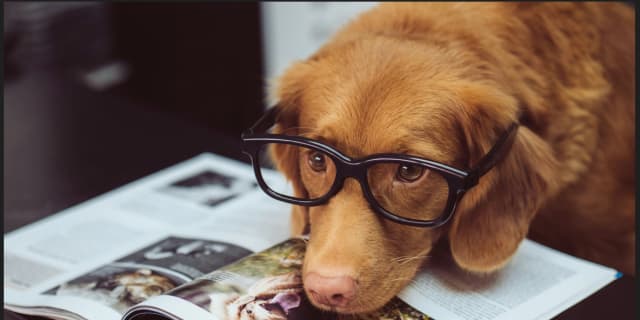 Customized Behavioral Training