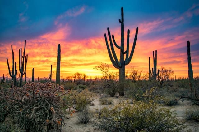 Tucson Tours Bundle: Self-Guided Drive