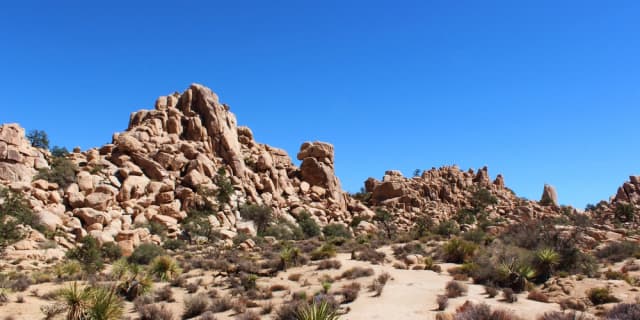 Hidden Valley Trail Joshua Tree: Self-Guided Walk