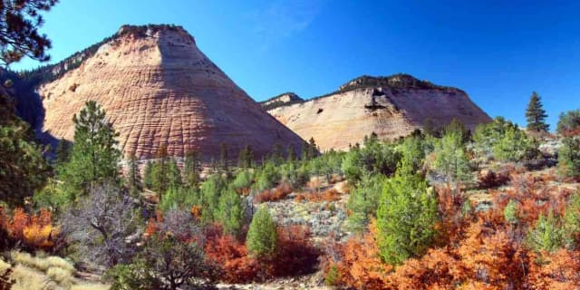 Zion National Park Tour: Self-Guided Drive