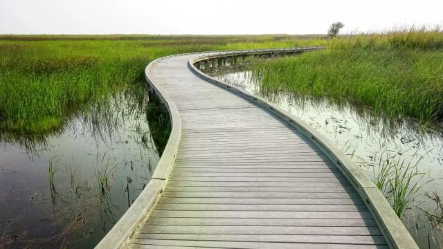 Creole Nature Trail: Self-Guided Driving Tour