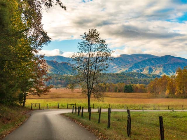 Cades Cove Driving Tour: Self-Guided