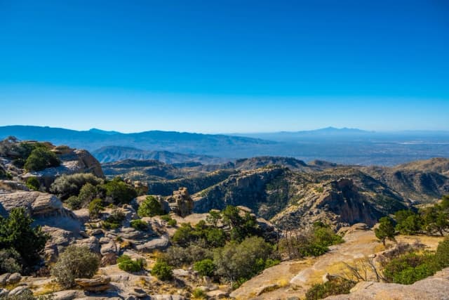 Mt Lemmon Driving Tour: Self–Guided