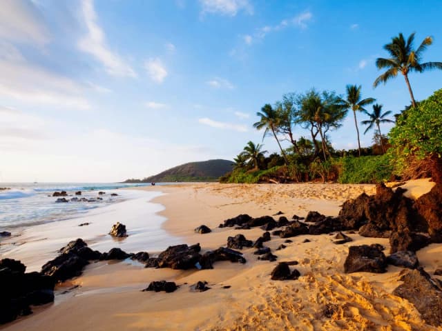 Maui Tours: Self-Guided Driving Bundle (4 tours)