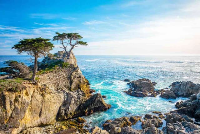 17 Mile Drive California Tour: Self-Guided