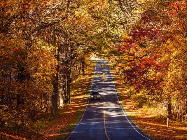 Shenandoah Tour: Self-Guided Drive