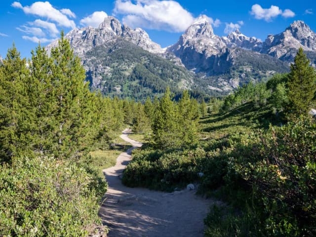 Grand Teton National Park Tour: Self-Guided Drive
