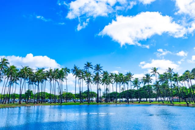 Oahu Tour: Self-Guided Drive