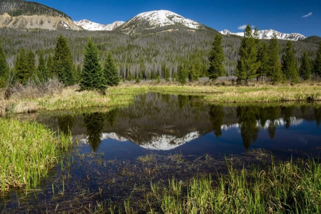 Rocky Mountain National Park Tour: Self-Guided Drive