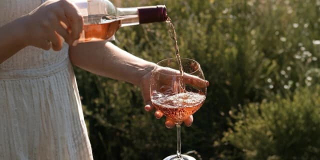 One-Year Ownership of Two Vineyard Vines