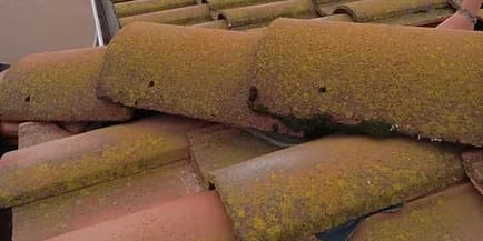 Roof Washing for One-Story Homes (Up to 1,600 square feet)