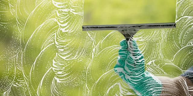 Window Cleaning, Interior and Exterior up to 20 Panels (Only for One-Story Houses)