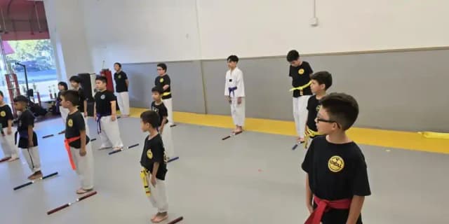 Martial Arts Classpass - 8 Weeks