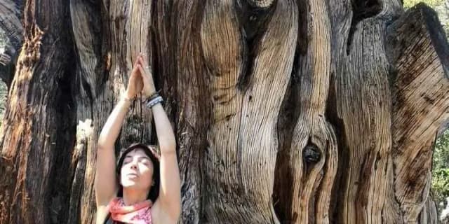 LIT Clique 3 Month Membership