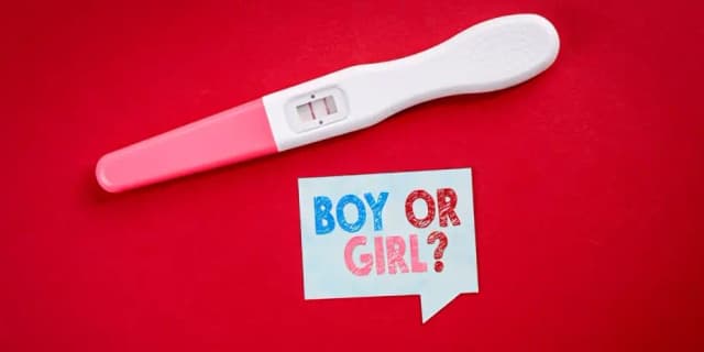 Early Gender Reveal (6 Weeks Gestation)